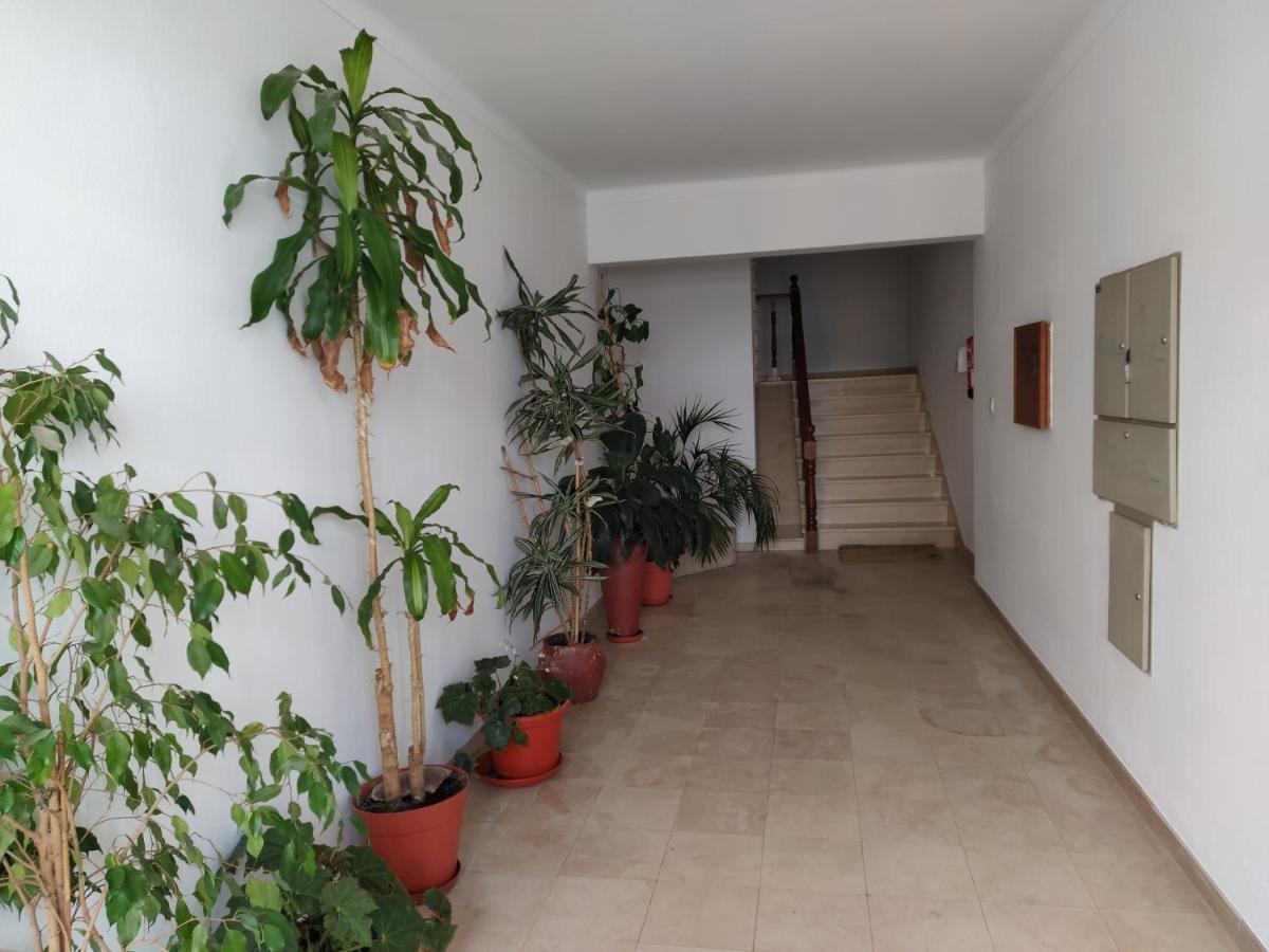 Apartamentos Bau-Doce Cercal do Alentejo Eksteriør bilde