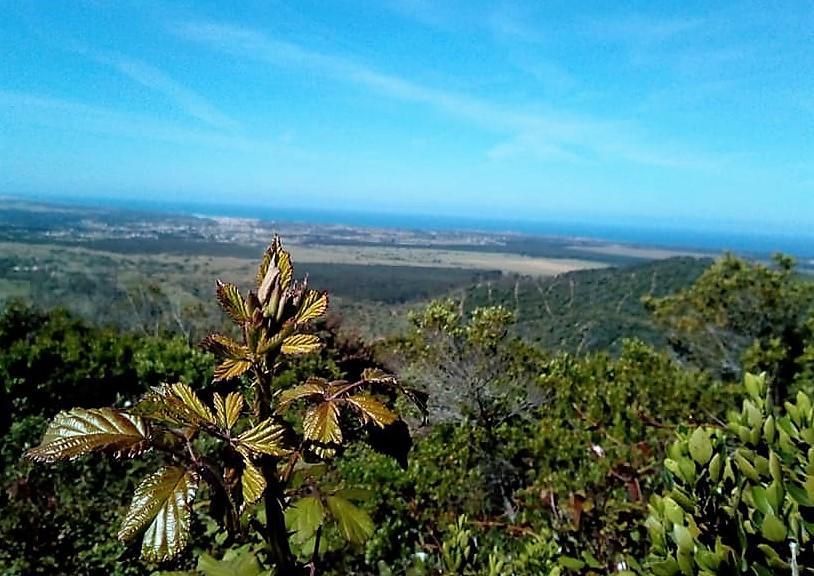 Apartamentos Bau-Doce Cercal do Alentejo Eksteriør bilde